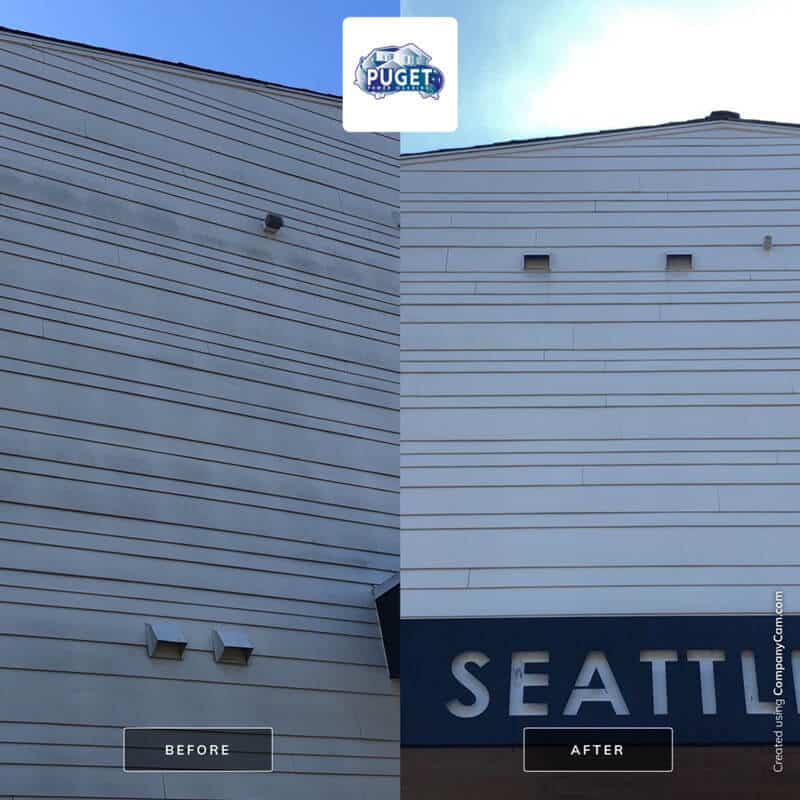 Building Washing Seattle