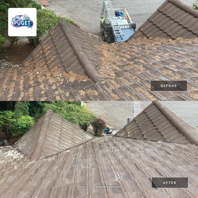 roof cleaning Seattle