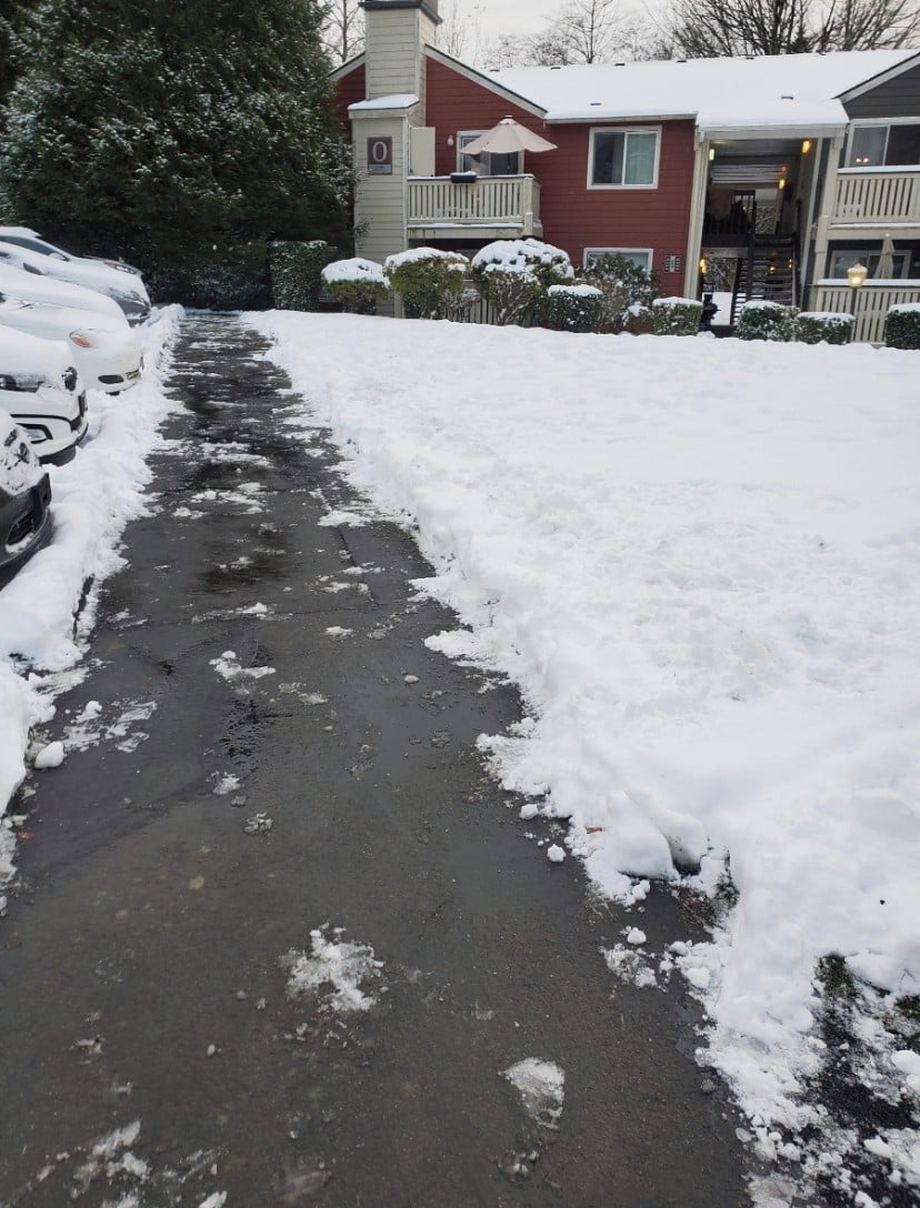Snow Plowing Seattle